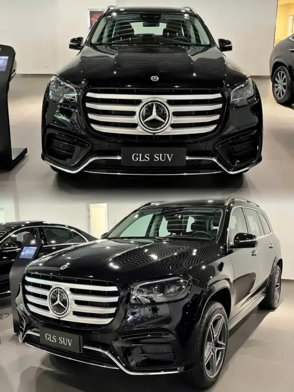 GLS - Hình ảnh 2