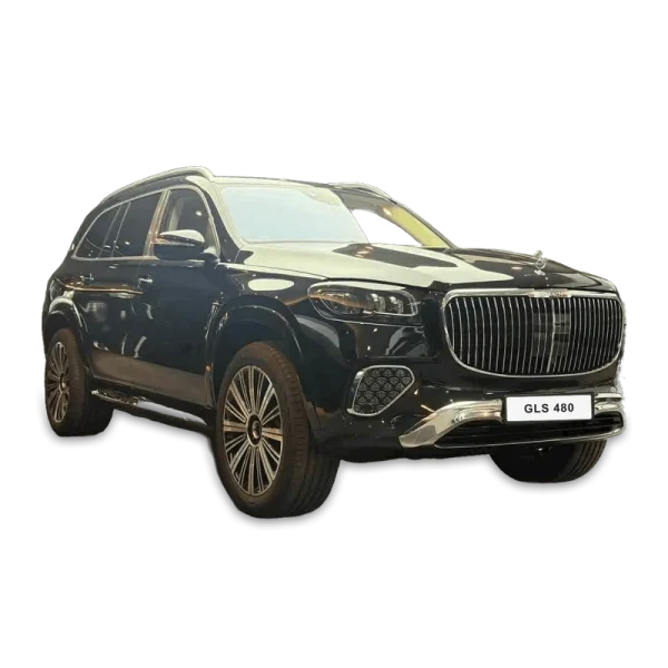 Mercedes-Maybach GLS 480 - Hình ảnh 1