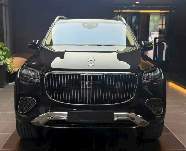 Mercedes-Maybach GLS 480 - Hình ảnh 11